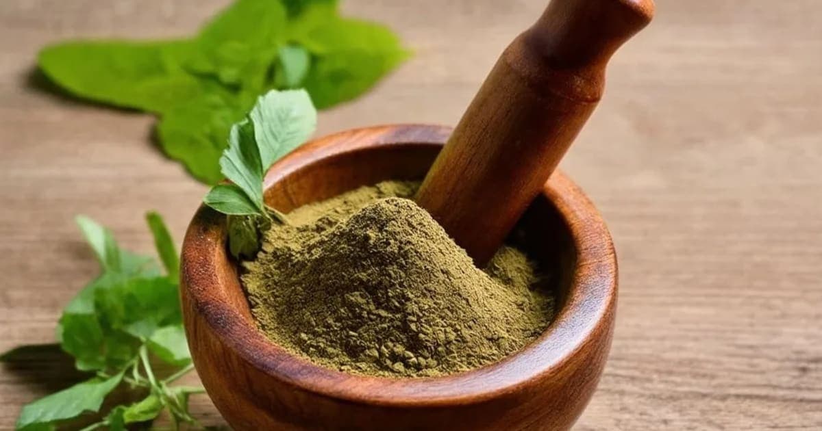Kasani — Ayurvedic Herb