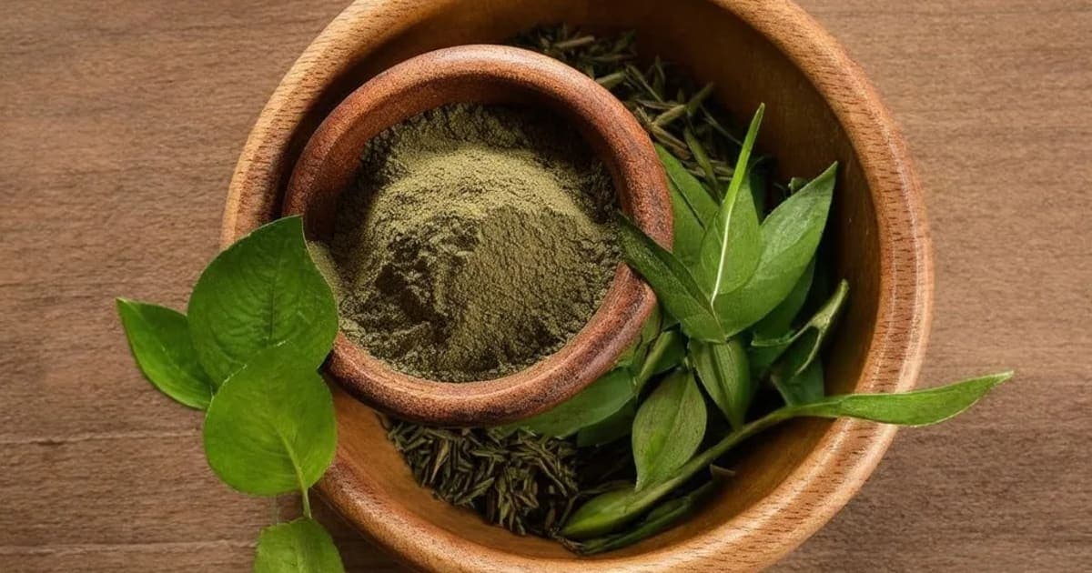 Jayapala — Ayurvedic Herb