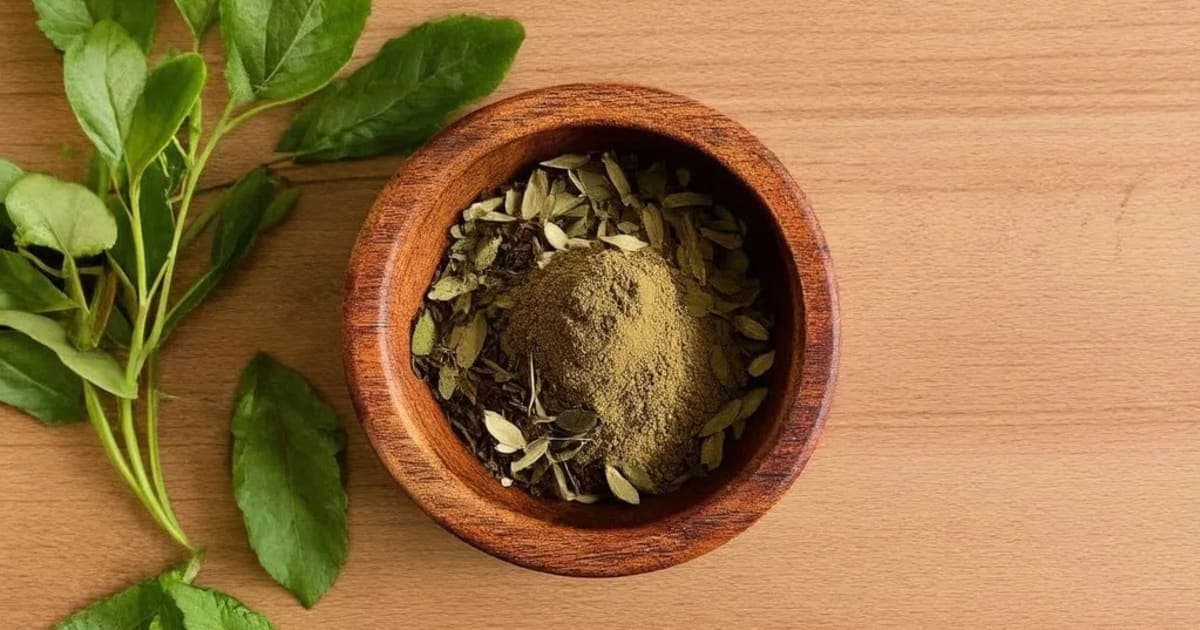 Palankya (Spinach) — Ayurvedic Herb