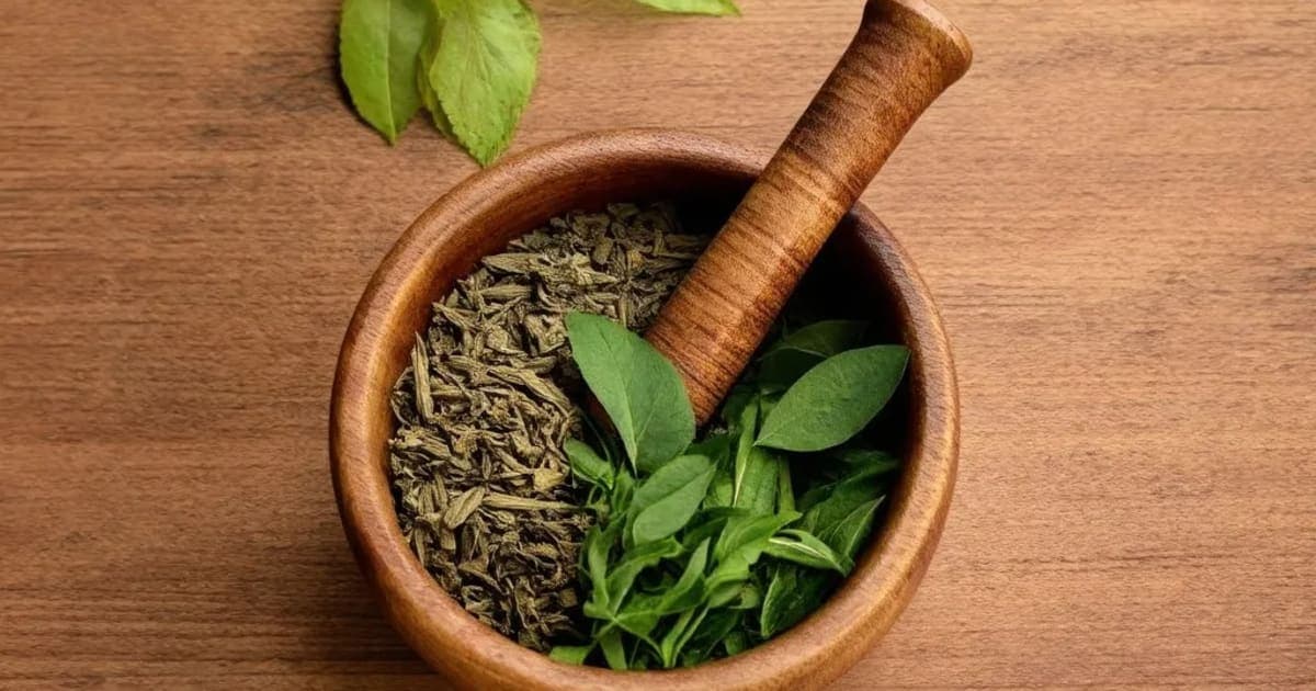 Palandu — Ayurvedic Herb