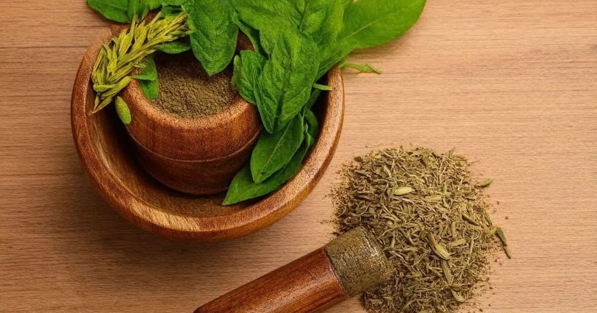 Shyonaka — Ayurvedic Herb