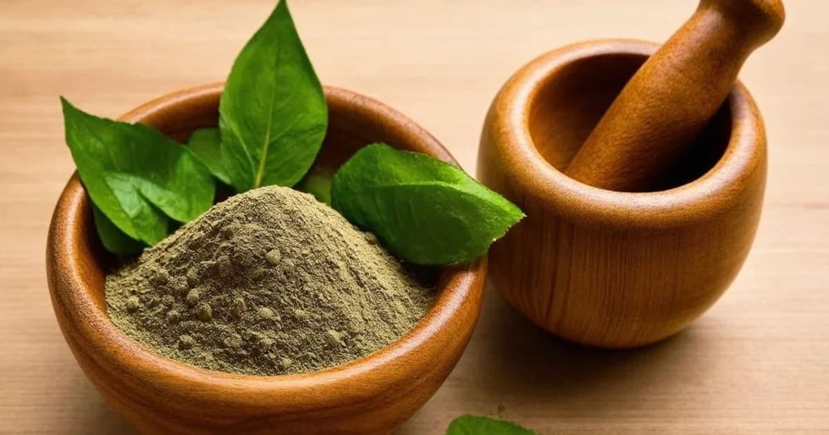 Kapittha — Ayurvedic Herb