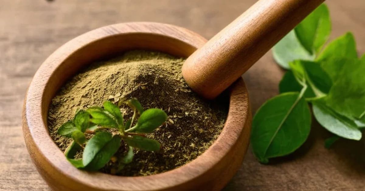 Visha Tinduka — Ayurvedic Herb