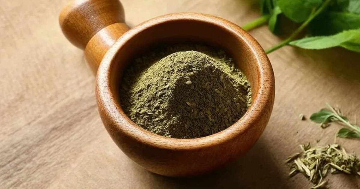 Rohitaka — Ayurvedic Herb