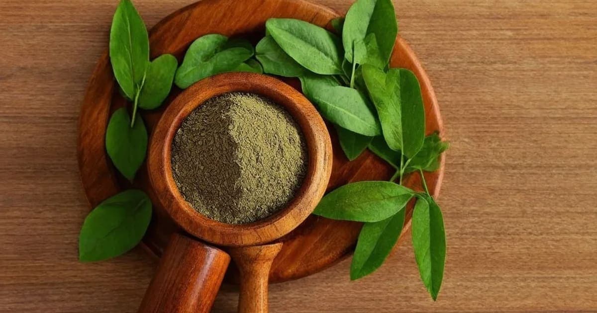 Ushtra Dugdha (Camel Milk) — Ayurvedic Herb