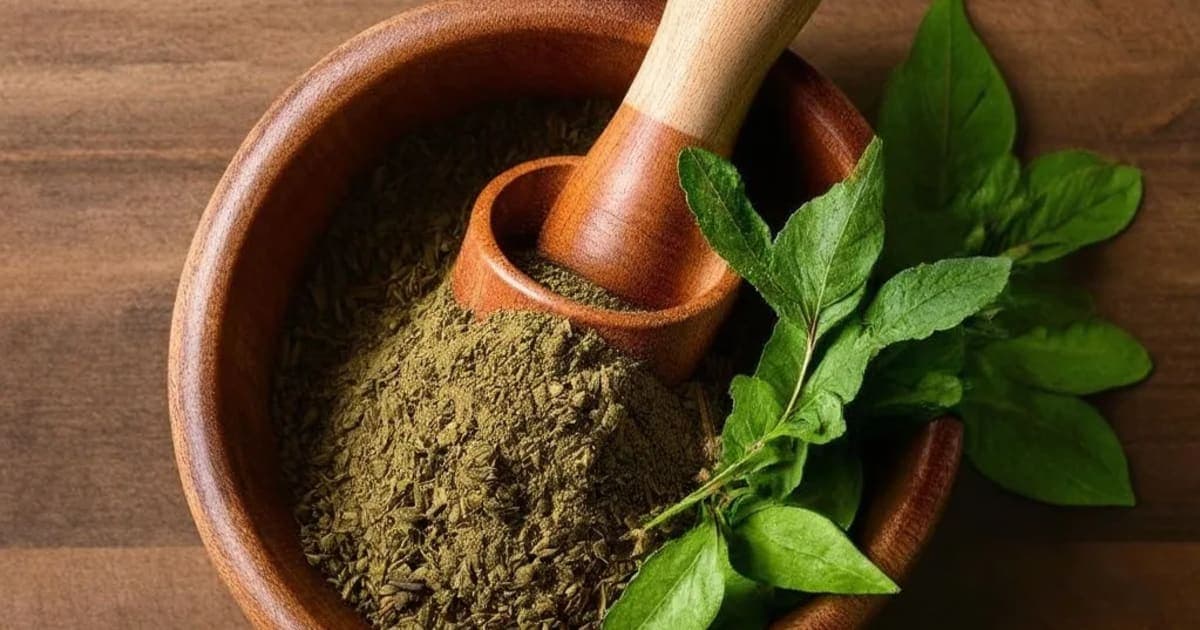 مادھوکا (یاسٹیمادھو) کے فوائد — آیورویدک جڑی بوٹی