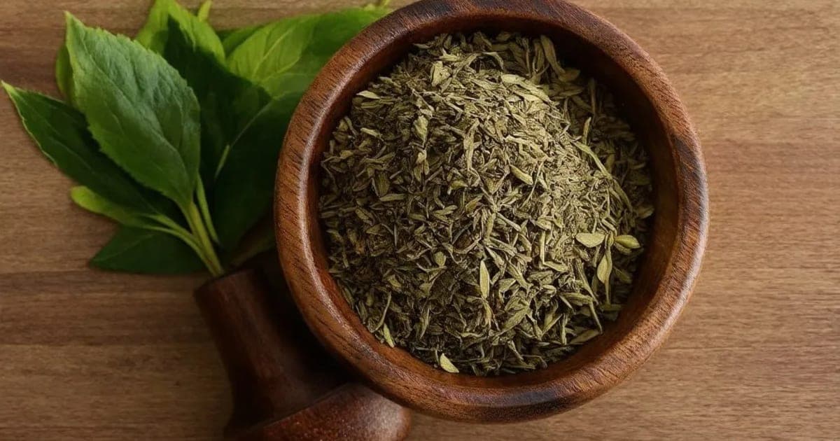 धव — आयुर्वेदिक जड़ी-बूटी