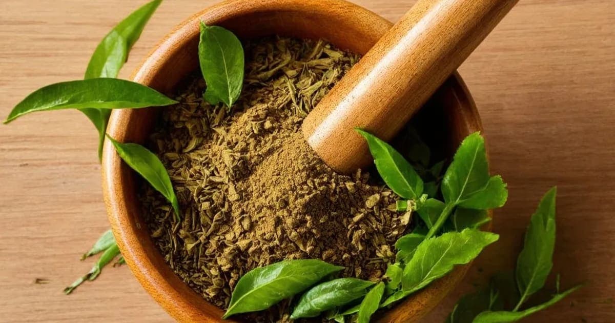 కుంకుమది తైలం — ఆయుర్వేద మూలిక