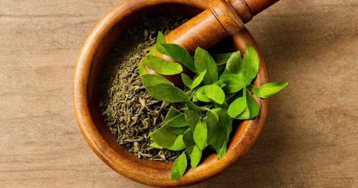 कांदा (Palandu) चे फायदे — आयुर्वेदिक वनस्पती