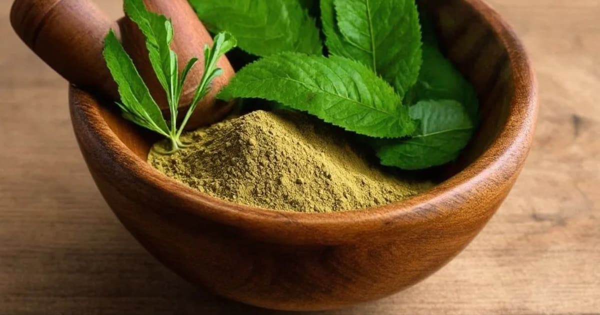 ಅಕರಕರಭ (ಅನಾಸಿಕ್ಲಸ್ ಪೈರೆತ್ರಮ್) — ಆಯುರ್ವೇದ ಮೂಲಿಕೆ