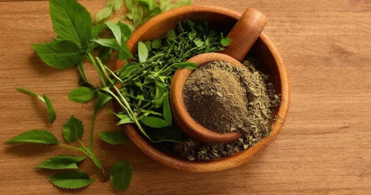 ಕೋಶಟಕಿ (ಲೂಫ) — ಆಯುರ್ವೇದ ಮೂಲಿಕೆ