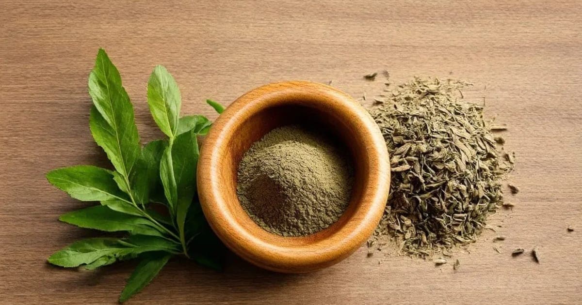 ಬಲಮೂಲದ ಗುಣಗಳು — ಆಯುರ್ವೇದ ಮೂಲಿಕೆ