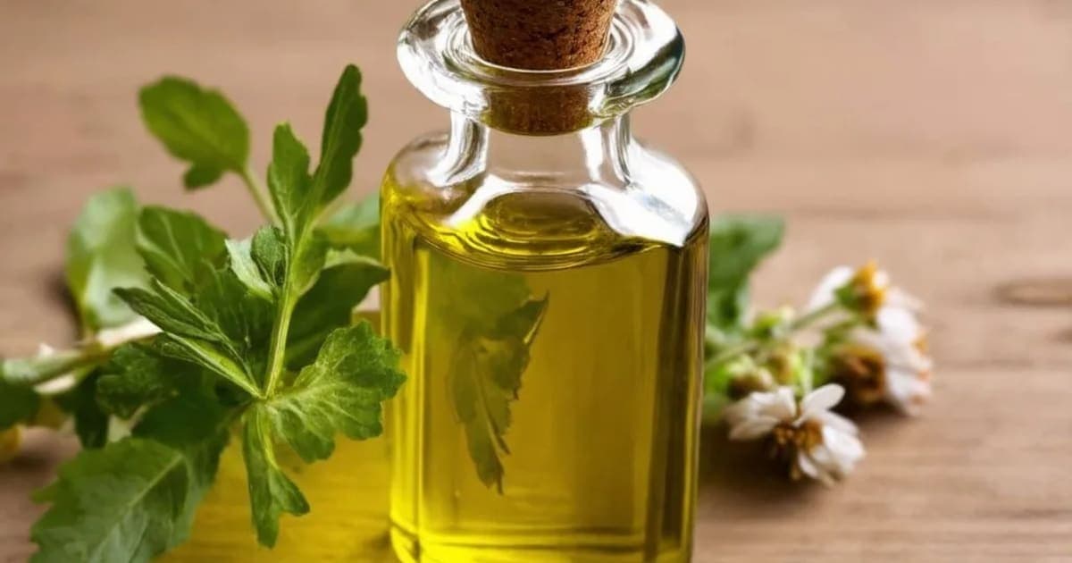 شاد_bindو تیل — آیورویدک جڑی بوٹی