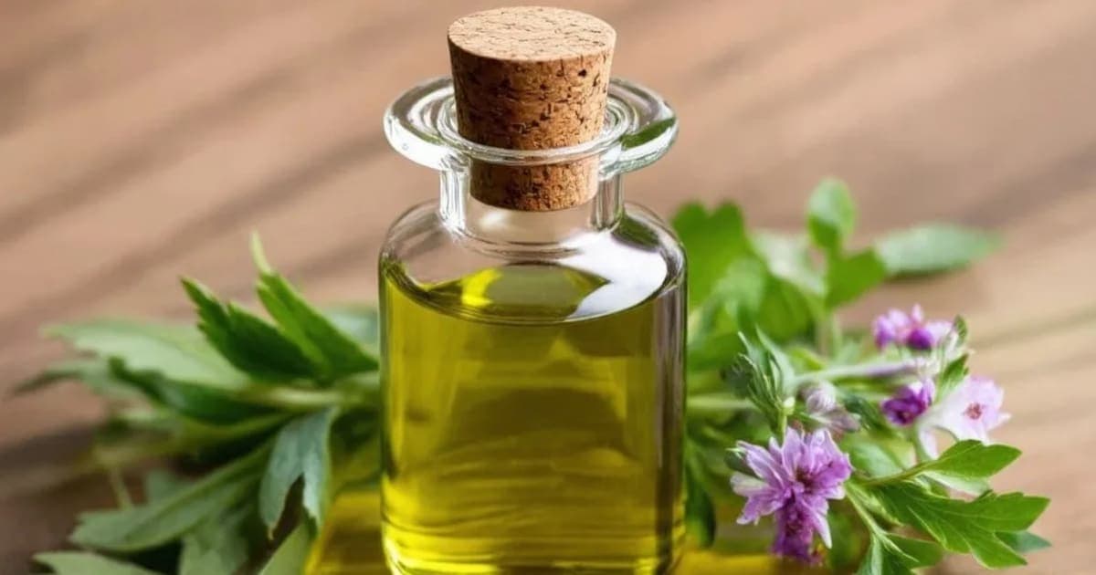 তিল তেলের উপকারিতা — আয়ুর্বেদিক ভেষজ