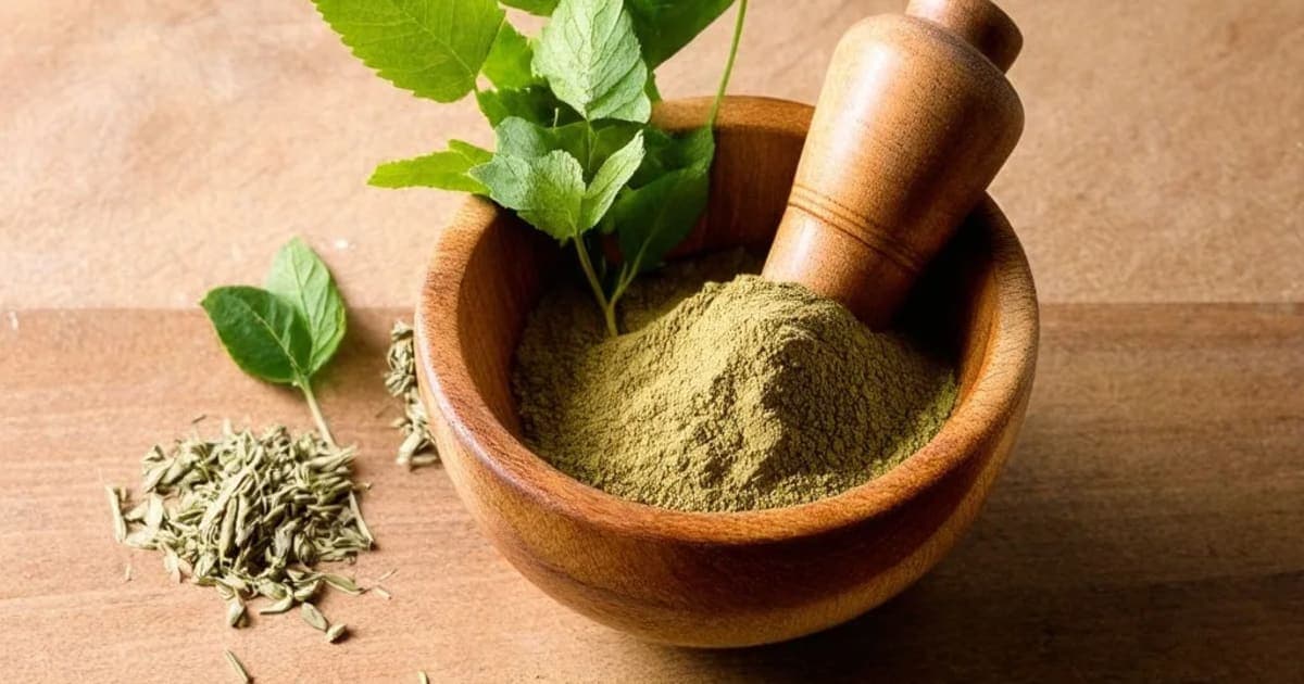 رکت مول (لال چترک) کے فوائد — آیورویدک جڑی بوٹی