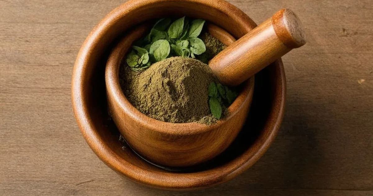 ಮಯೂರಶಿಖಾ (Actiniopteris radiata) — ಆಯುರ್ವೇದ ಮೂಲಿಕೆ