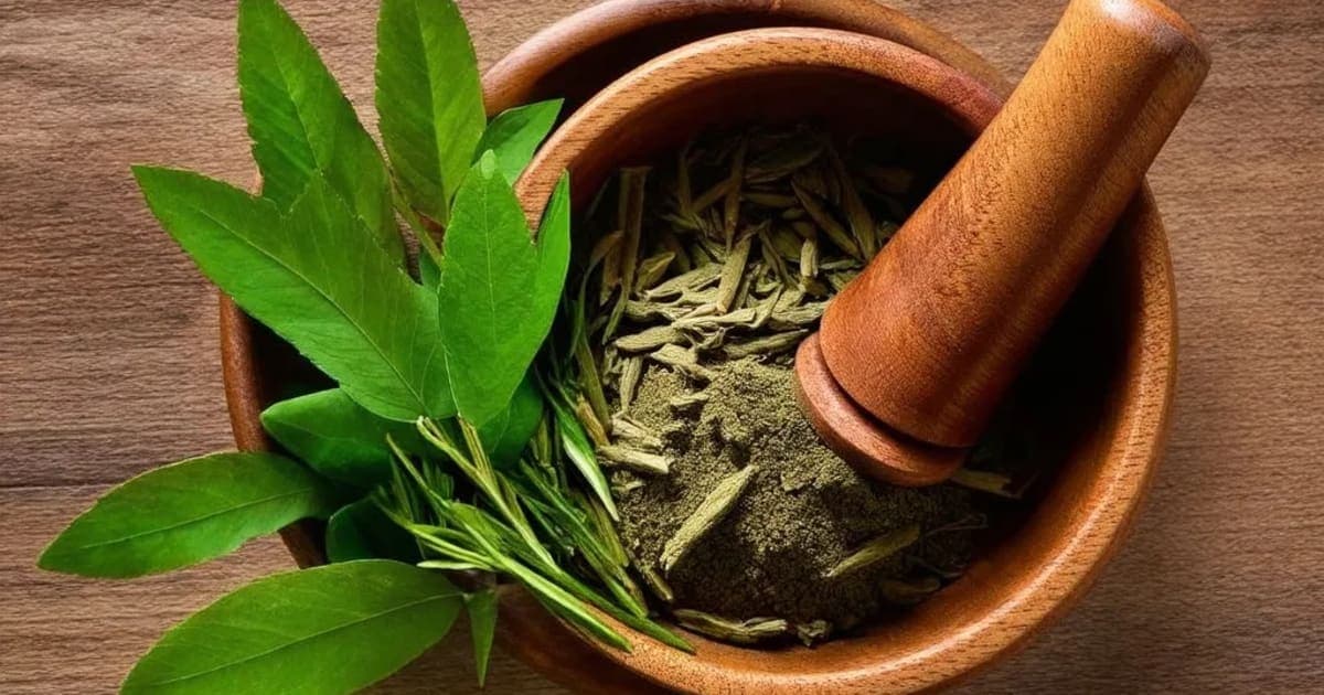 త్రీవృత్ (Trivrit) గుణాలు — ఆయుర్వేద మూలిక