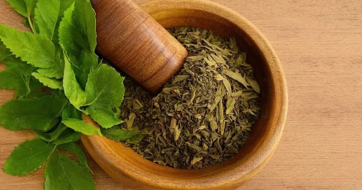 कर्पास मूळ — आयुर्वेदिक वनस्पती