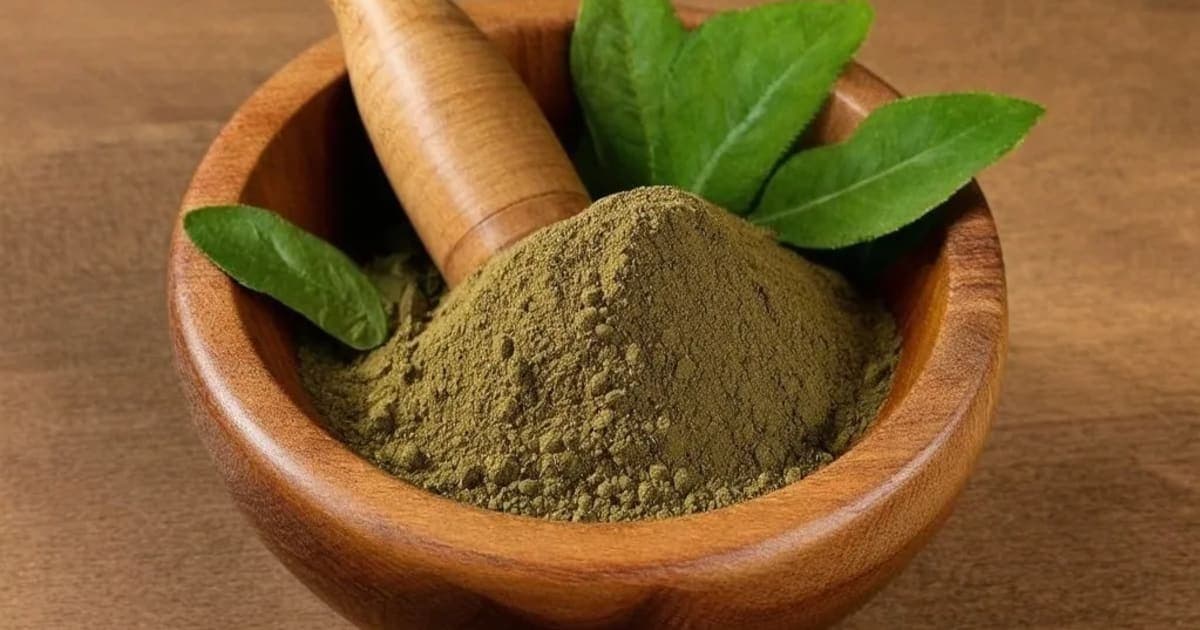 پتہ (Patha) کے فوائد — آیورویدک جڑی بوٹی