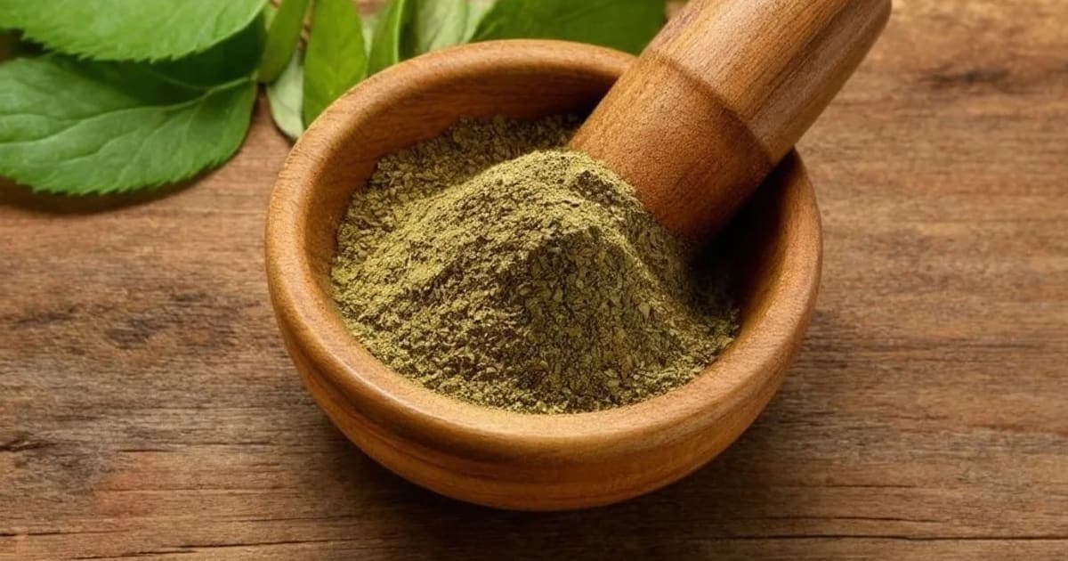 ਅਰਕ ਕ੍ਸ਼ੀਰ — ਆਯੁਰਵੈਦਿਕ ਜੜੀ-ਬੂਟੀ