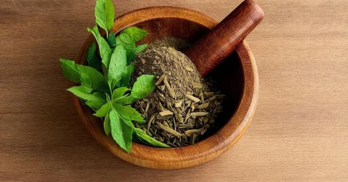 وجرک تھیلیم — آیورویدک جڑی بوٹی