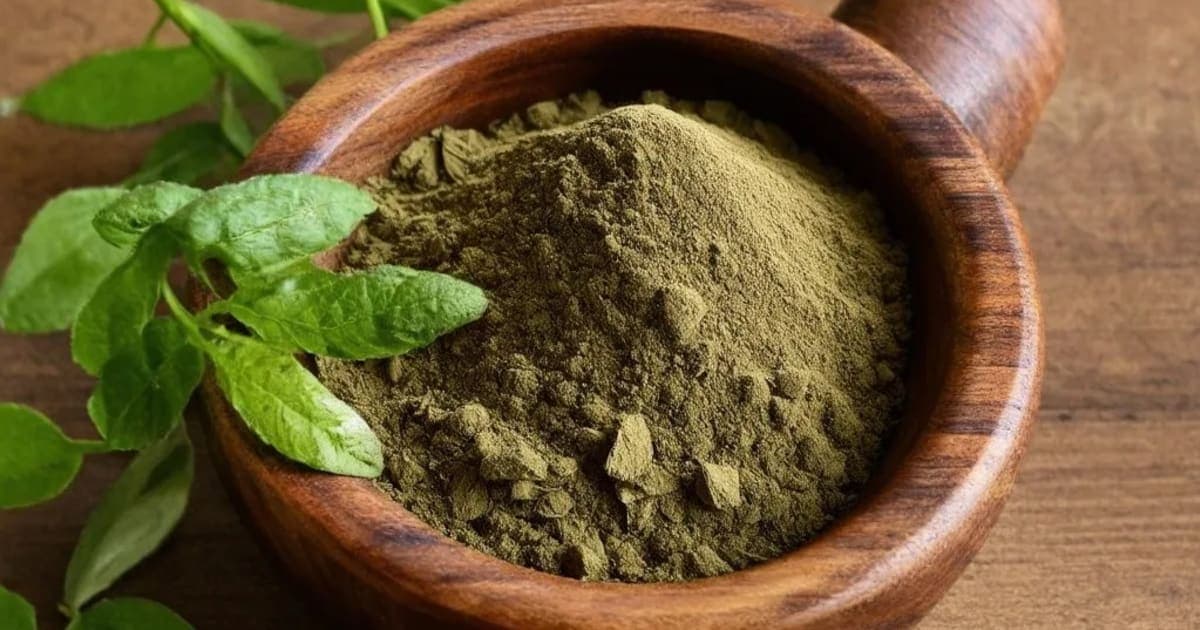 آگستیا (Agastya) — آیورویدک جڑی بوٹی