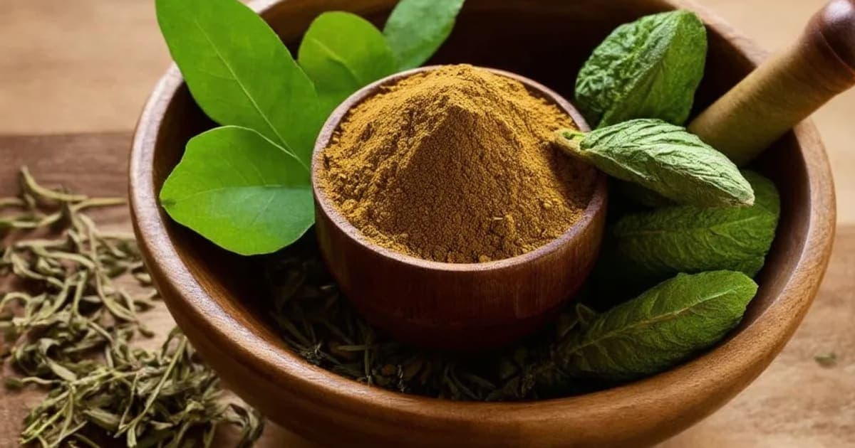 Granthiparni — Ayurvedic Herb