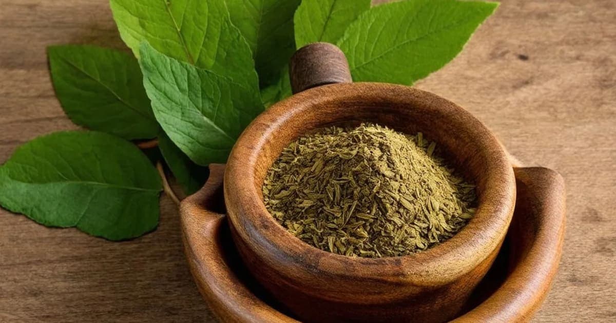 Gokarna — Ayurvedic Herb