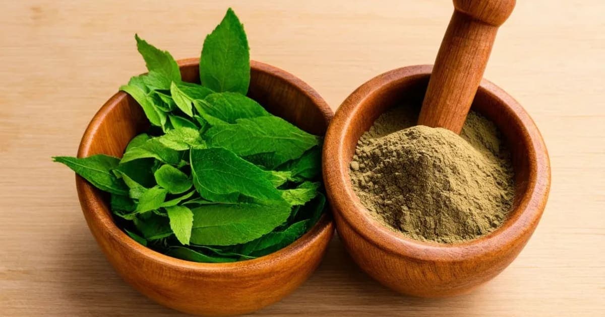 Ativisha — Ayurvedic Herb