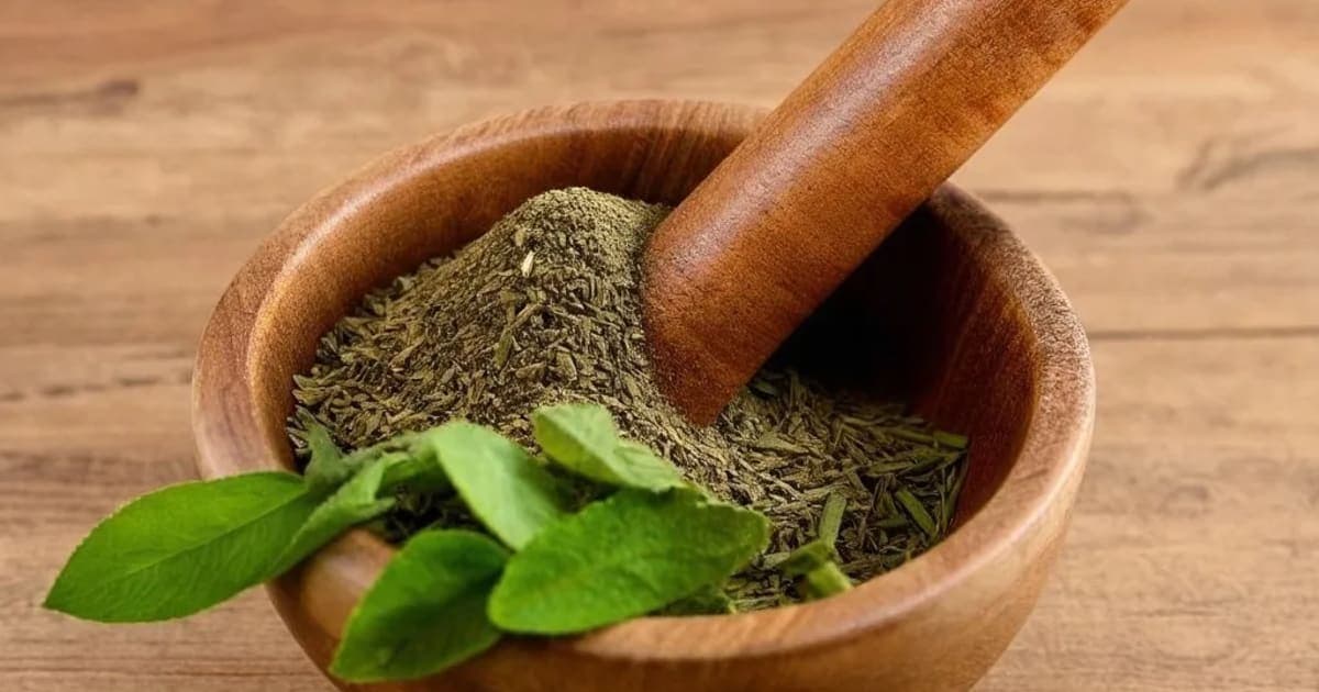 Hamsapadi — Ayurvedic Herb