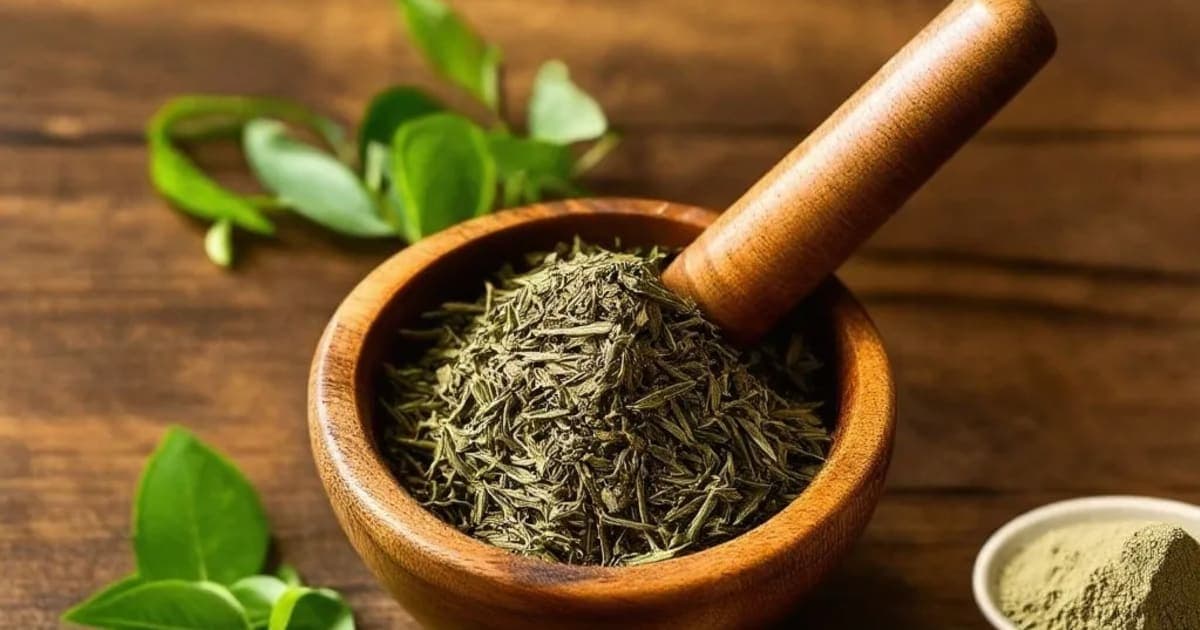 Daruharidra — Ayurvedic Herb