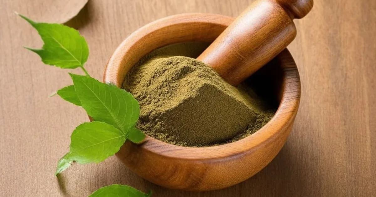 Karanja — Ayurvedic Herb