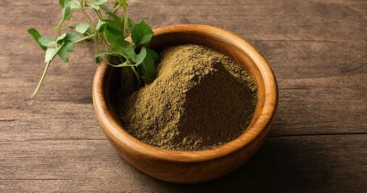 Tejapatra — Ayurvedic Herb