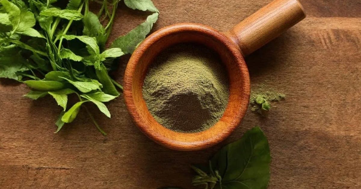 Nirgundi — Ayurvedic Herb