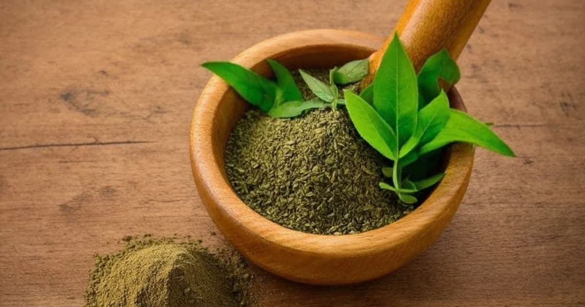 Rohisha — Ayurvedic Herb