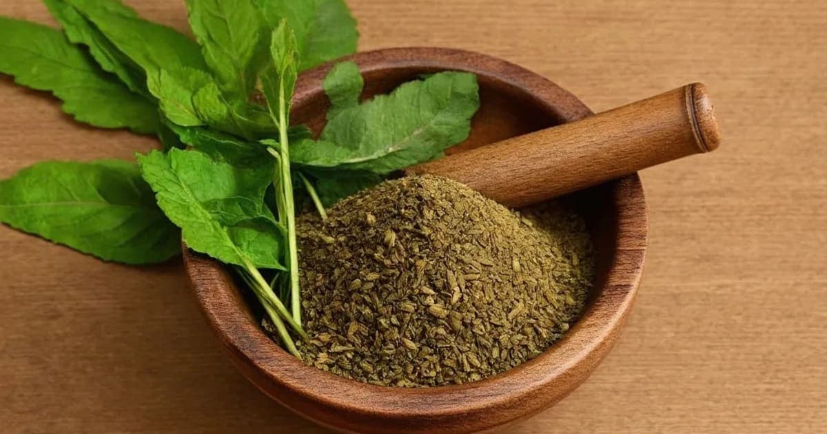 Hastikarna Palasha — Ayurvedic Herb