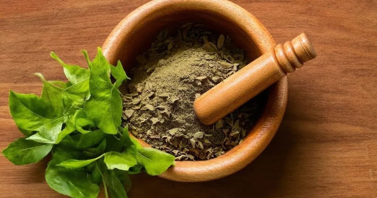 Javitri — Ayurvedic Herb