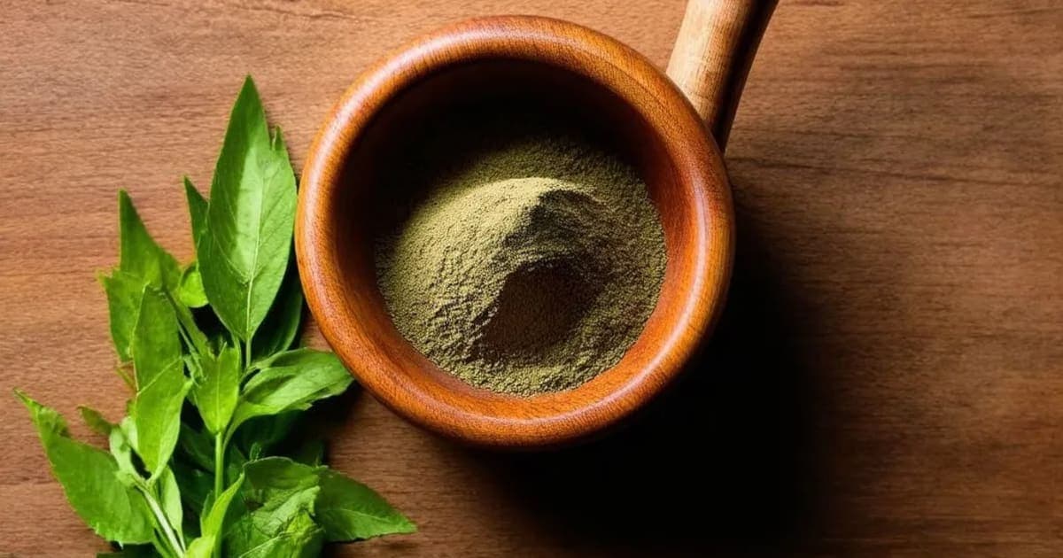 Udumbara — Ayurvedic Herb