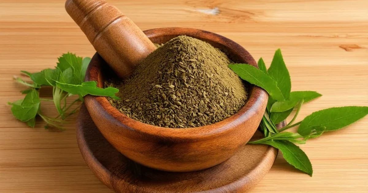 Hapusa — Ayurvedic Herb