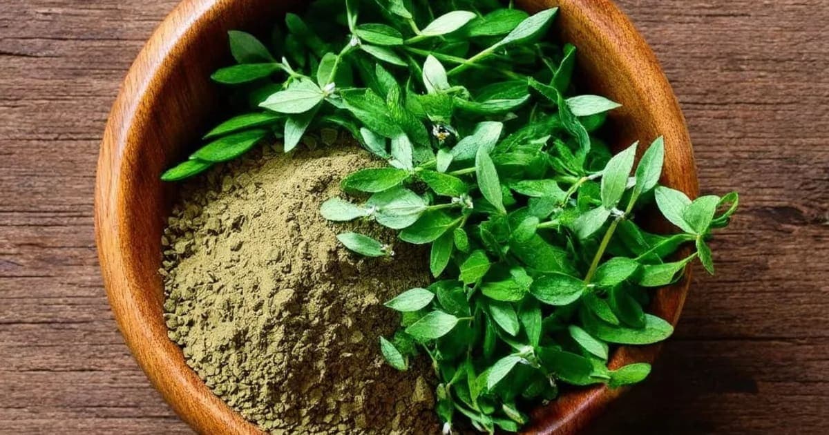 Methi — Ayurvedic Herb