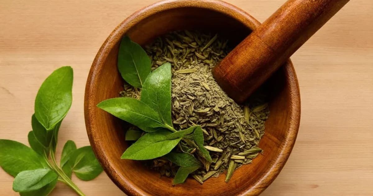 Kantakari — Ayurvedic Herb