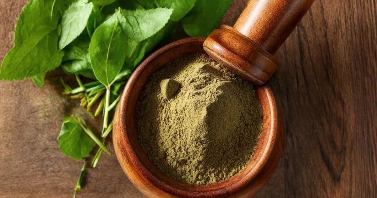 Ishwari — Ayurvedic Herb