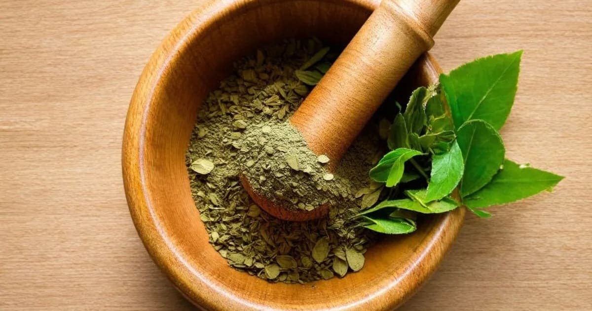 Vasaka — Ayurvedic Herb