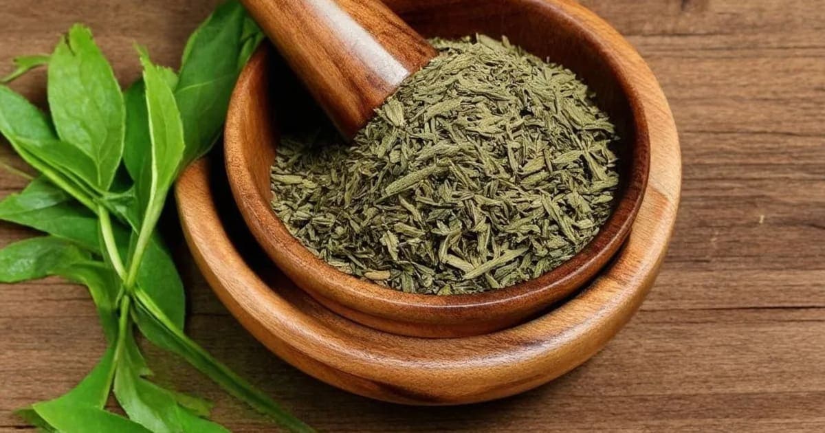 Narikela Lavana — Ayurvedic Herb