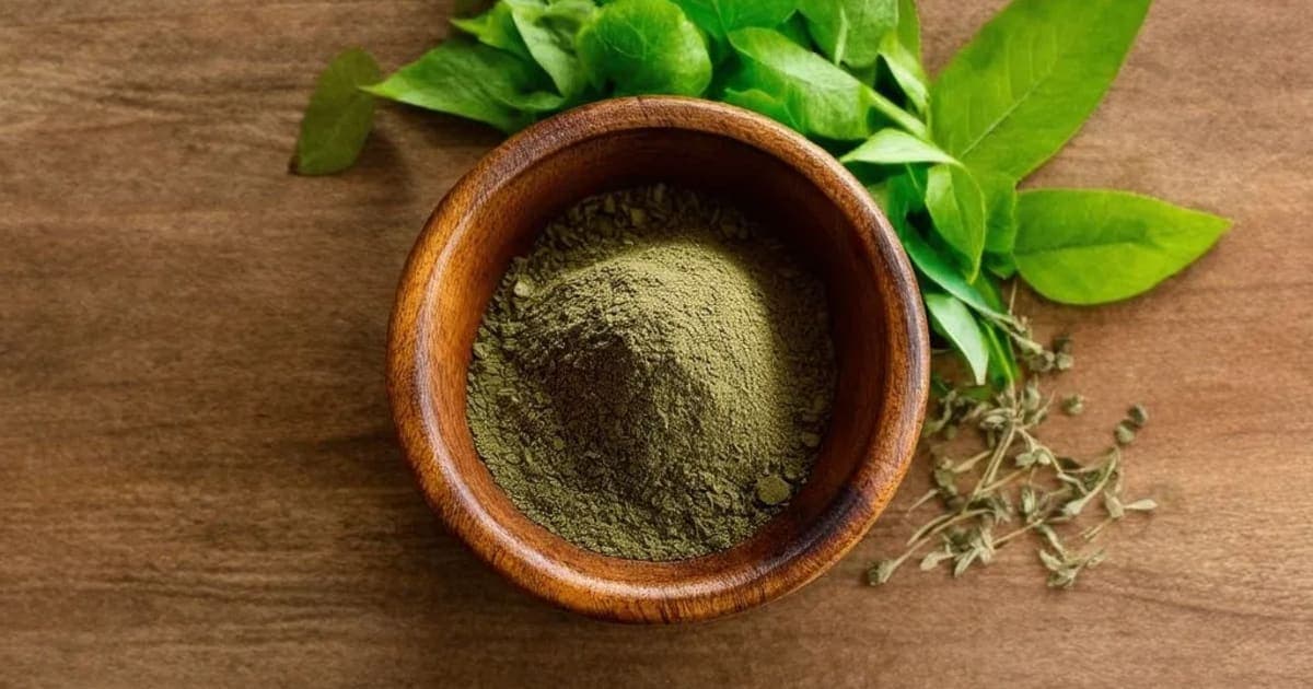 Simsapa — Ayurvedic Herb