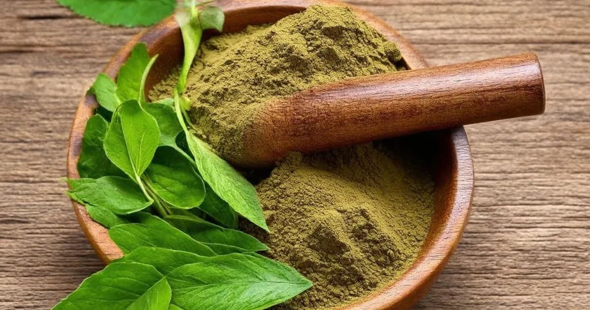 Madanaphala — Ayurvedic Herb