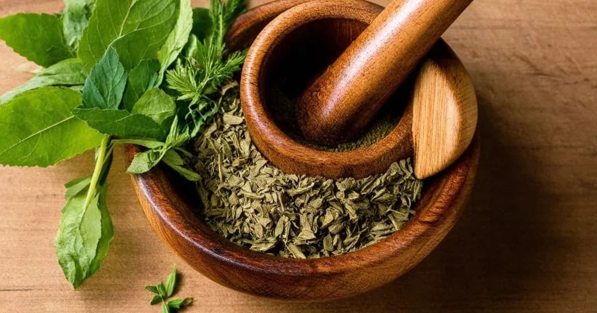 Riddhi — Ayurvedic Herb