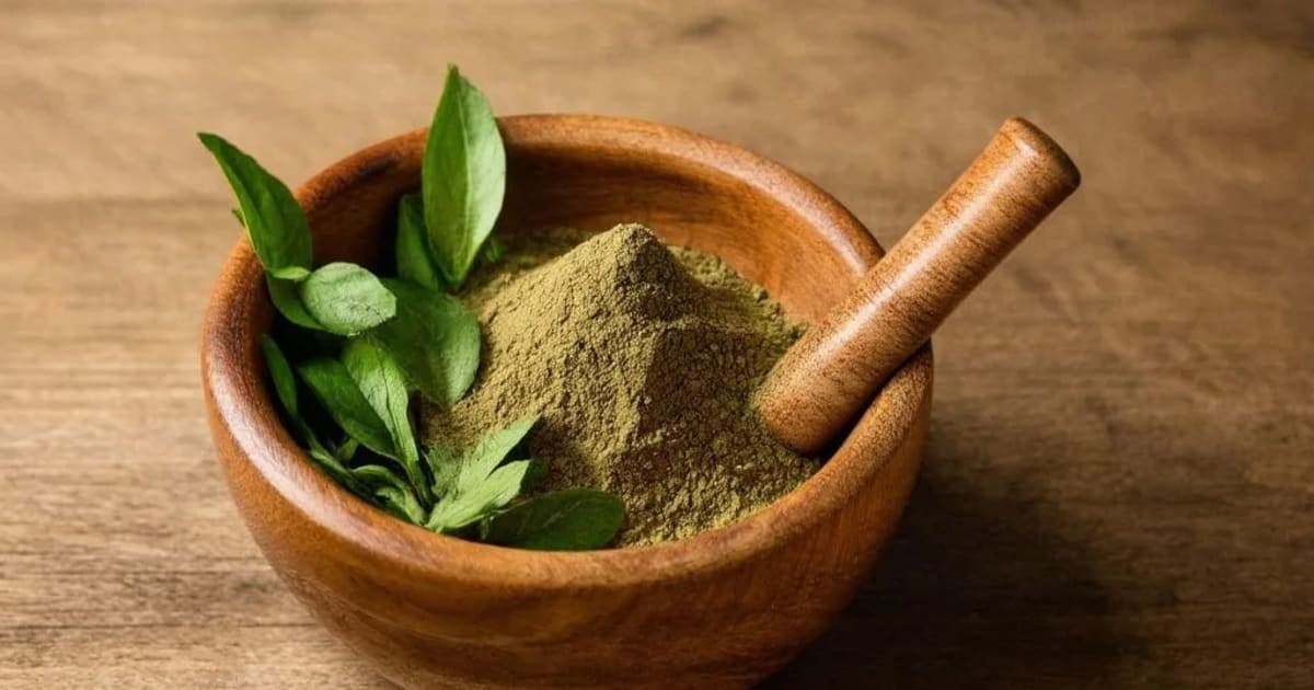 Tamalpatra — Ayurvedic Herb