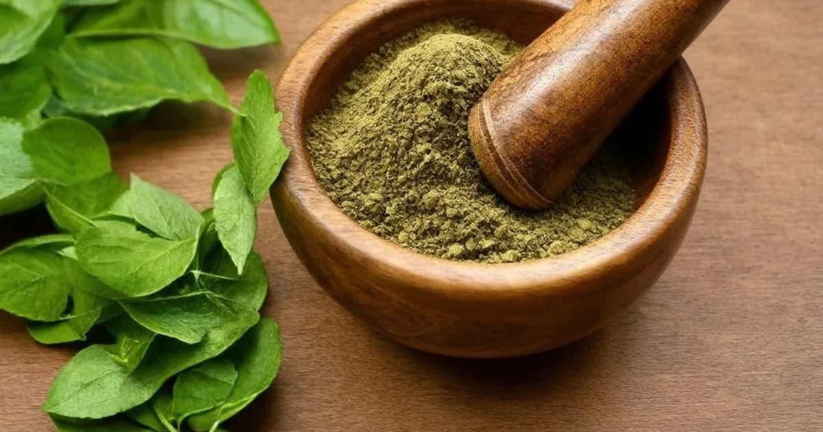 ಬಂಧುಕ ಪುಷ್ಪದ ಲಾಭಗಳು — ಆಯುರ್ವೇದ ಮೂಲಿಕೆ