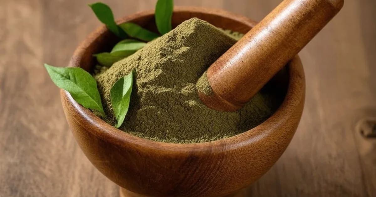 உஷிரம் (வெட்டிவர்) — ஆயுர்வேத மூலிகை